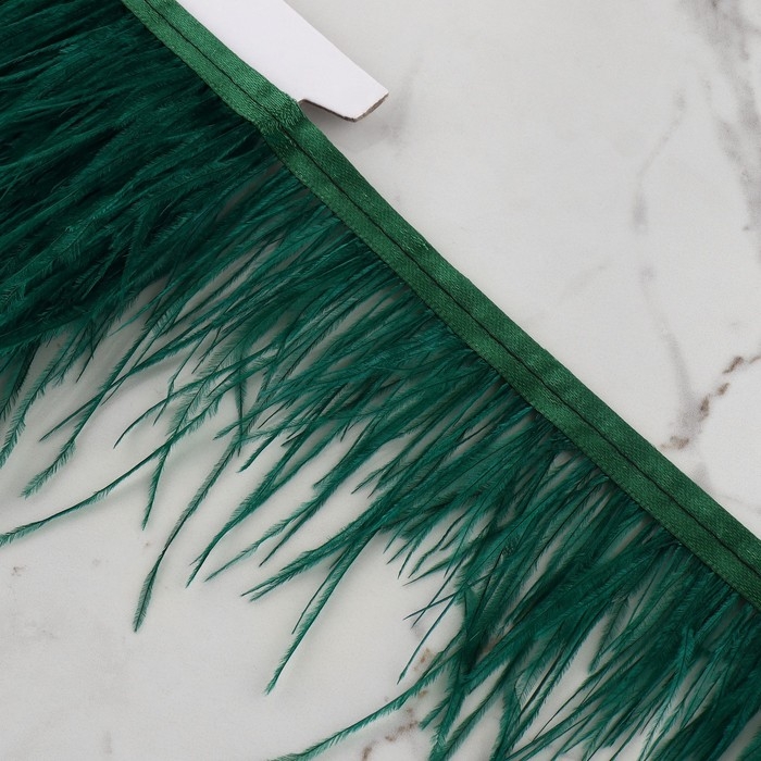 Тесьма с перьями страуса, 8-10 см, 5 ± 0,5 м, цвет изумрудный Тесьма с перьями страуса, 8-10 см, 5 ± 0,5 м, цвет изумрудный
