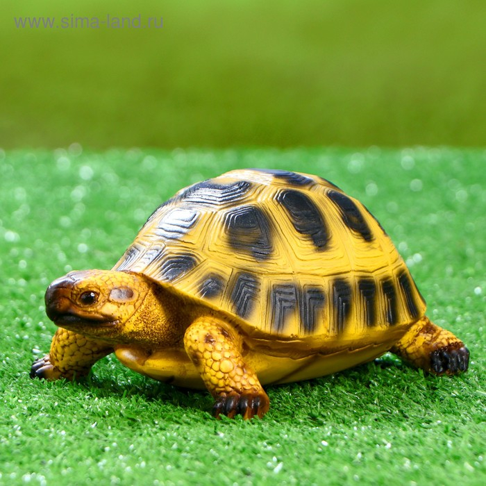 Садовая фигура  Садовая фигура "Черепашка" 17х11см