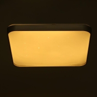 Люстра с ПДУ 33088 72Вт LED 3000-6000К, диммир., серебро, 50х50х7 см