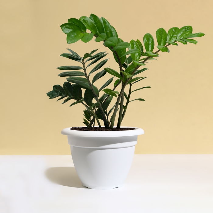 Горшок для цветов, d = 30 см, 7,5 л, пластик, белый Горшок для цветов, d = 30 см, 7,5 л, пластик, белый