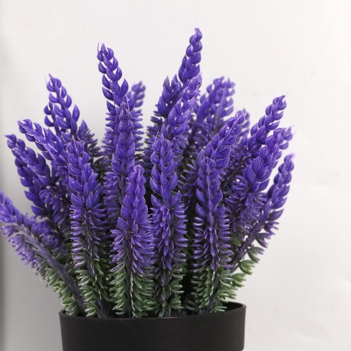 Бонсай в горшке Бонсай в горшке "Лаванда" 9х18 см, микс