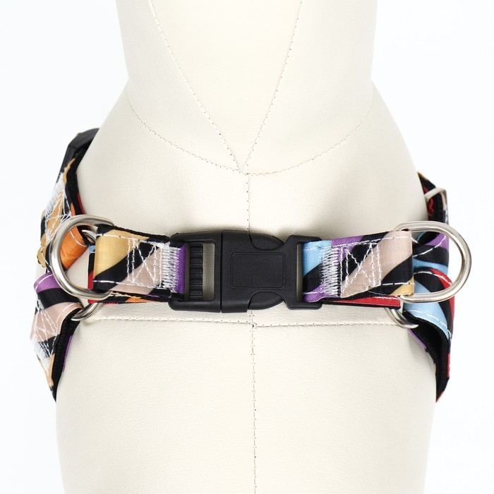 Комплект амуниции двухслойный, размер L, поводок 120 х 2 см, ОШ 31-45 см , ОГ 35-52 см, разноцветный Комплект амуниции двухслойный, размер L, поводок 120 х 2 см, ОШ 31-45 см , ОГ 35-52 см, разноцветный