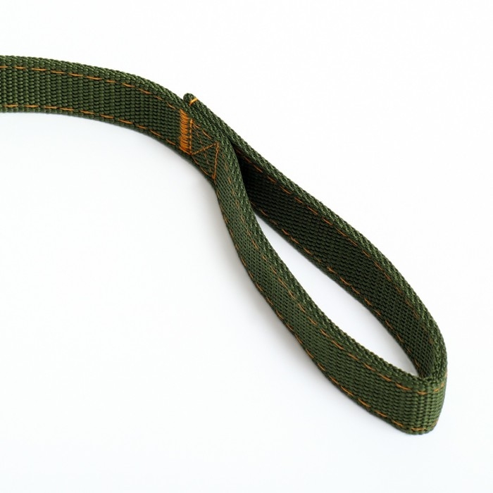 Поводок двухслойный с усиленным карабином, 3 м х 2,5 см, зелёный Поводок двухслойный с усиленным карабином, 3 м х 2,5 см, зелёный