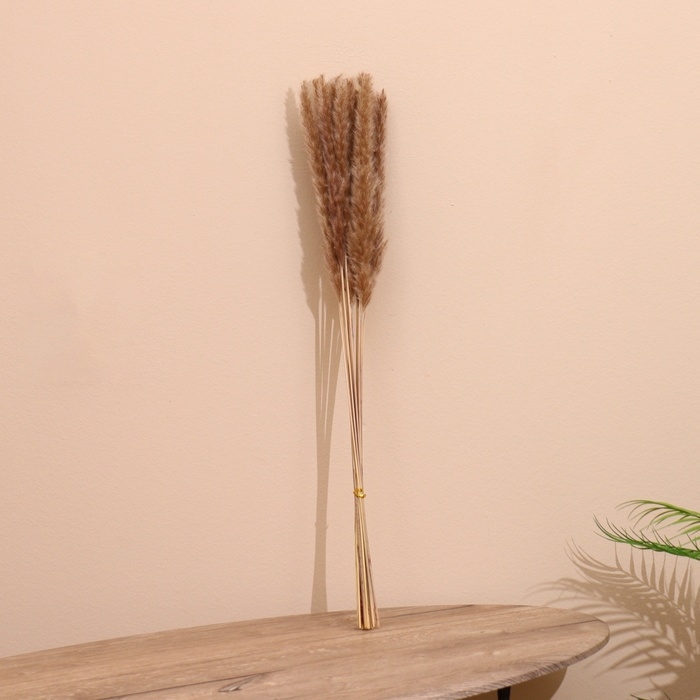 Набор сухоцветов 80 см (10 шт) натуральный Набор сухоцветов 80 см (10 шт) натуральный