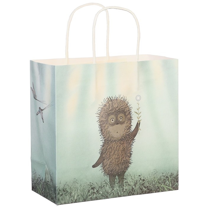 Пакет подарочный, 22х22х11 см, крафт, упаковка, Ёжик в тумане Пакет подарочный, 22х22х11 см, крафт, упаковка, Ёжик в тумане