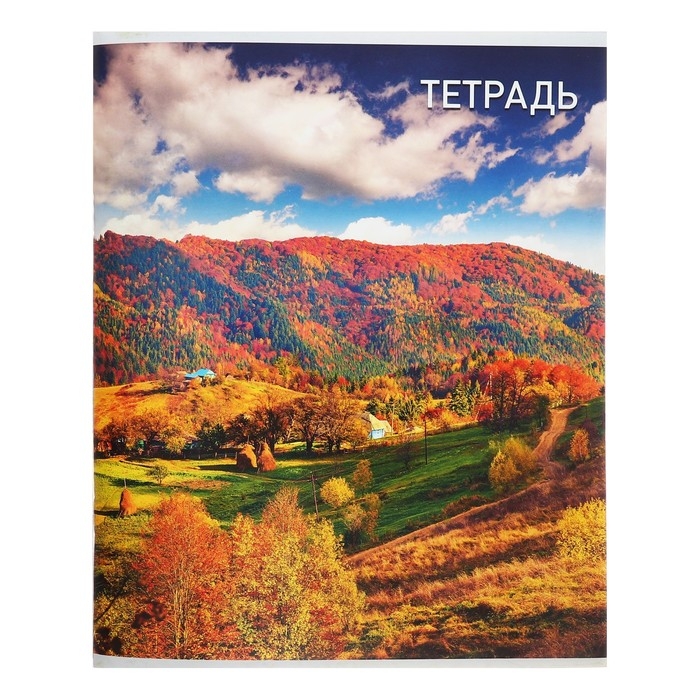 Тетрадь 96 листов в клетку Calligrata "Природа", обложка мелованный картон, блок №2, белизна 75% (серые листы), МИКС