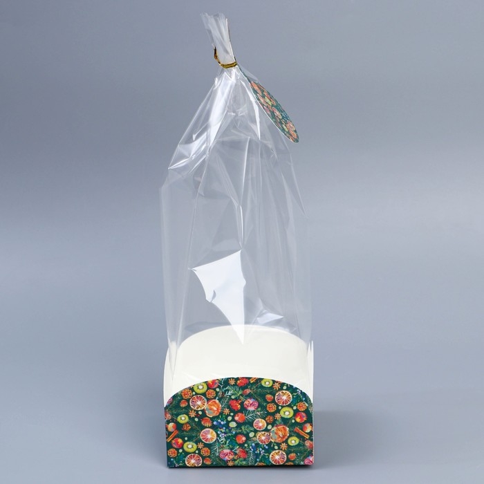 Пакет с коробкой «Новогодняя ботаника», 12 х 12 х 40 см, Новый год Пакет с коробкой «Новогодняя ботаника», 12 х 12 х 40 см, Новый год