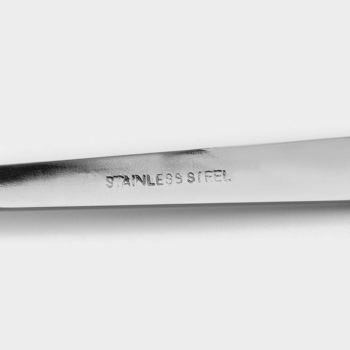 Набор вилок столовых из нержавеющей стали Доляна &laquo;Бритоль&raquo;, h=18 см, 6 шт