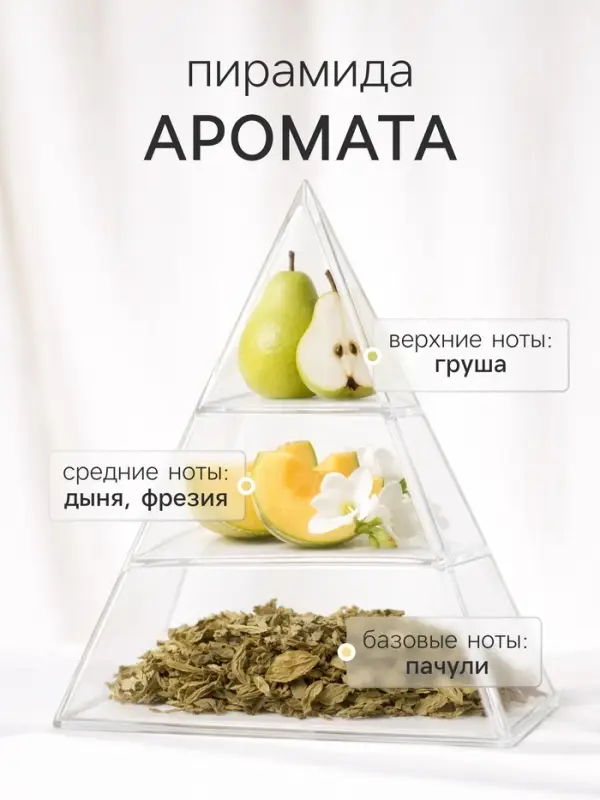 Наполнитель для ароматического диффузора XO The Delight, 100 мл