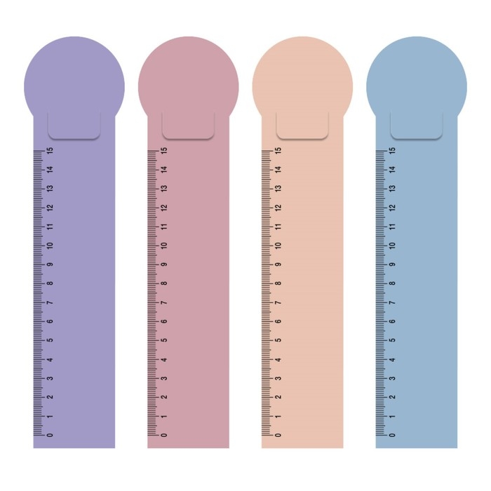 Набор из 4 пластиковых закладок ErichKrause "Matt Manga", шкала 15см, в пакете, МИКС