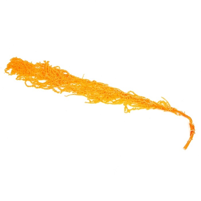 Сухие цветы амаранта, 100 г, размер листа: от 50 до 60 см, цвет оранжевый Сухие цветы амаранта, 100 г, размер листа: от 50 до 60 см, цвет оранжевый