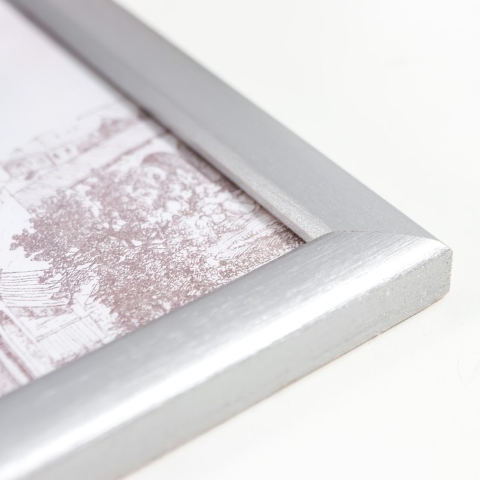 Фоторамка сосна с19 серебро 10х15 см (пластиковый экран) Фоторамка сосна с19 серебро 10х15 см (пластиковый экран)