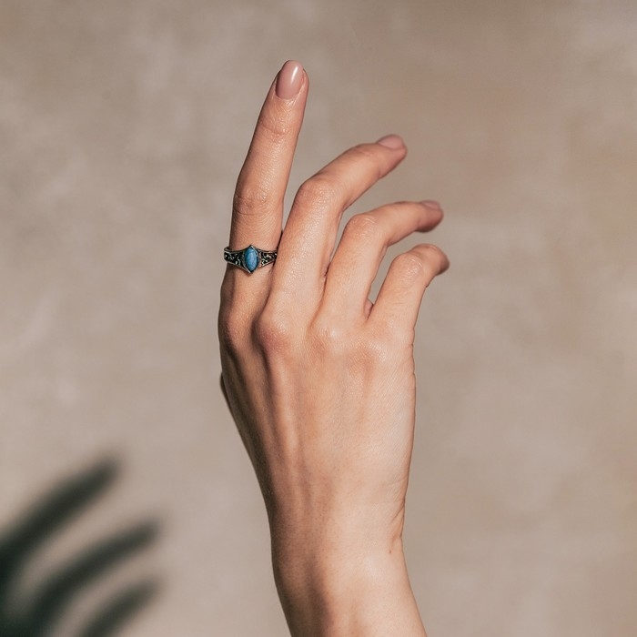 Кольцо «Натурель» Артемида, размер МИКС, цвет МИКС Кольцо «Натурель» Артемида, размер МИКС, цвет МИКС