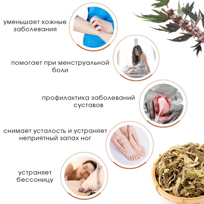 Травяной сбор для запарки ног   Травяной сбор для запарки ног  "Полынь и пустырник", набор 5 шт
