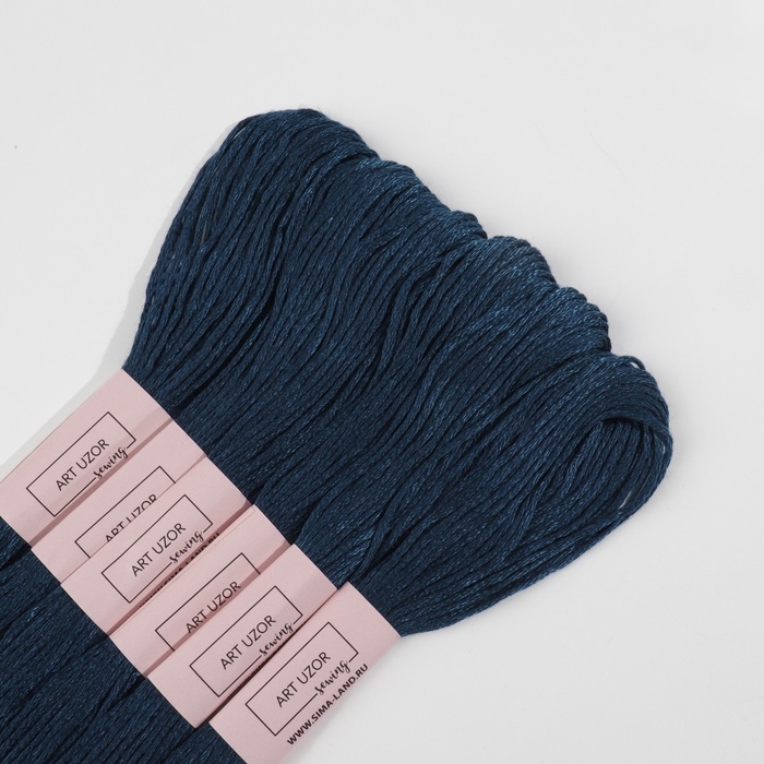 Набор ниток мулине №3750, 8 ± 1 м, 6 шт, цвет чёрно-синий