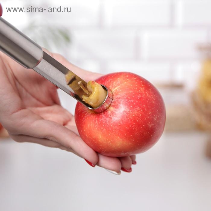 Нож для сердцевины Доляна «Металлик», 21 см, цвет серебристый Нож для сердцевины Доляна «Металлик», 21 см, цвет серебристый