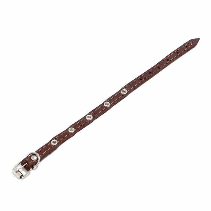 Ошейник кожаный однослойный,безразмерный 30 х 1 см, ОШ 19-27 см, коричневый Ошейник кожаный однослойный,безразмерный 30 х 1 см, ОШ 19-27 см, коричневый