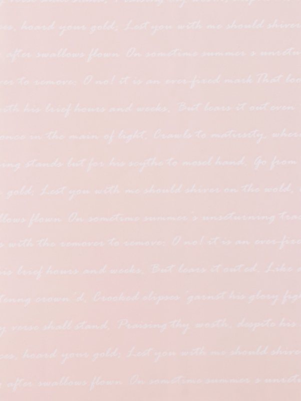 Пленка для цветов «Послание», пудра, 57 см × 10