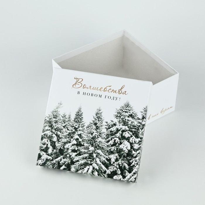 Набор подарочных коробк 5 в 1 «Снежная зима», 14 х 14 х 8–22 х 22 х12 см, Новый год Набор подарочных коробк 5 в 1 «Снежная зима», 14 х 14 х 8–22 х 22 х12 см, Новый год