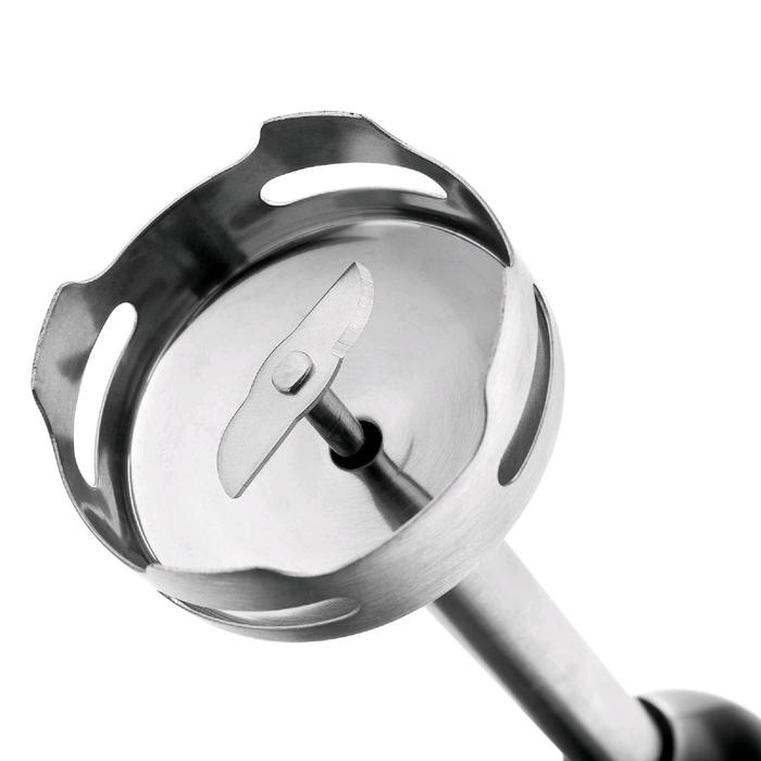 Блендер BRAYER BR1241, погружной, 800 Вт, 0.7 л, 2 скорости, чёрный