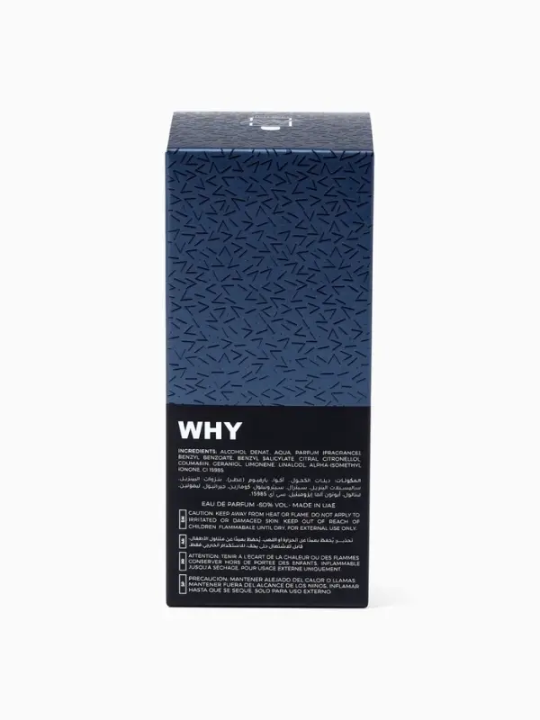 Парфюмерная вода мужская Milestone WHY, 35 мл