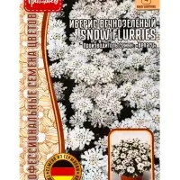Семена цветов Иберис Snow Flurries вечнозелёный  5шт.  12.29 г.
