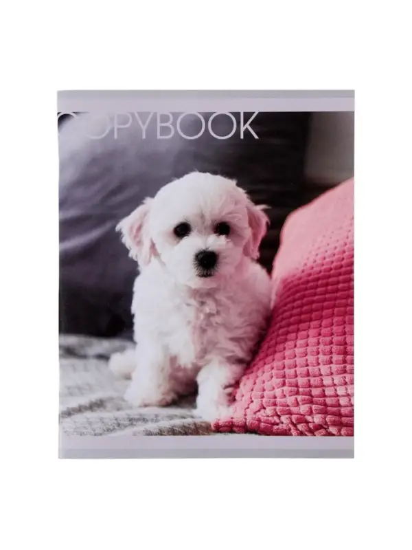 Тетрадь 48 листов в клетку Calligrata &laquo;Любимые питомцы&raquo;, обложка мелованная бумага, серые листы, МИКС