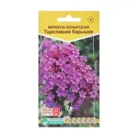Семена цветов Семена цветов Вербена бонарская &laquo;Тщеславная Барышня&raquo;, однолетник, 5 шт.