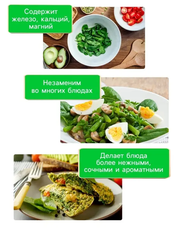 Семена шпинат &laquo;Жирнолистный&raquo;, 3 г, &laquo;Рецепты дедушки Никиты&raquo;