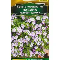 Семена цветов Бакопа раскидистая Лавина голубая дымка (драже) , Ц/П,3 шт. Семена цветов Бакопа раскидистая Лавина голубая дымка (драже) , Ц/П,3 шт.