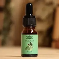 Аромамасло &laquo;Абсент&raquo;, удобный дозатор, 10 мл &laquo;Добропаровъ&raquo;