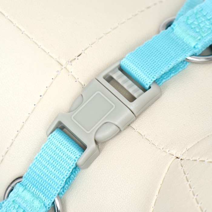 Комплект с мягкой шлейкой, быстросъемный, L, поводок 140 см, ОШ 49-56 см, ОГ 56-68 см, бирюзовый Комплект с мягкой шлейкой, быстросъемный, L, поводок 140 см, ОШ 49-56 см, ОГ 56-68 см, бирюзовый