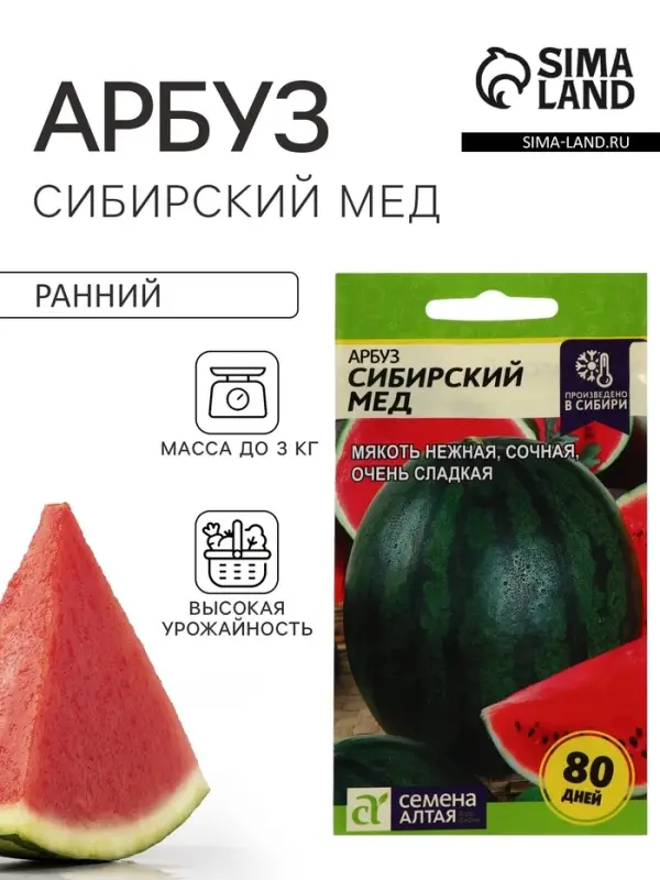 Семена Арбуз &laquo;Сибирский Мед&raquo;, 1 г, &laquo;Семена Алтая&raquo;