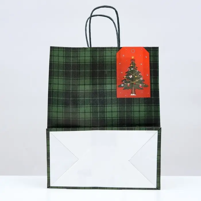 Пакет подарочный новогодний крафт «Зелёная клеточка» 22×12×27 см Пакет подарочный новогодний крафт «Зелёная клеточка» 22×12×27 см