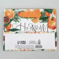 Пакет подарочный новогодний ламинированный &laquo;Новогоднее настроение&raquo;, S 15 х 12 х 5.5 см