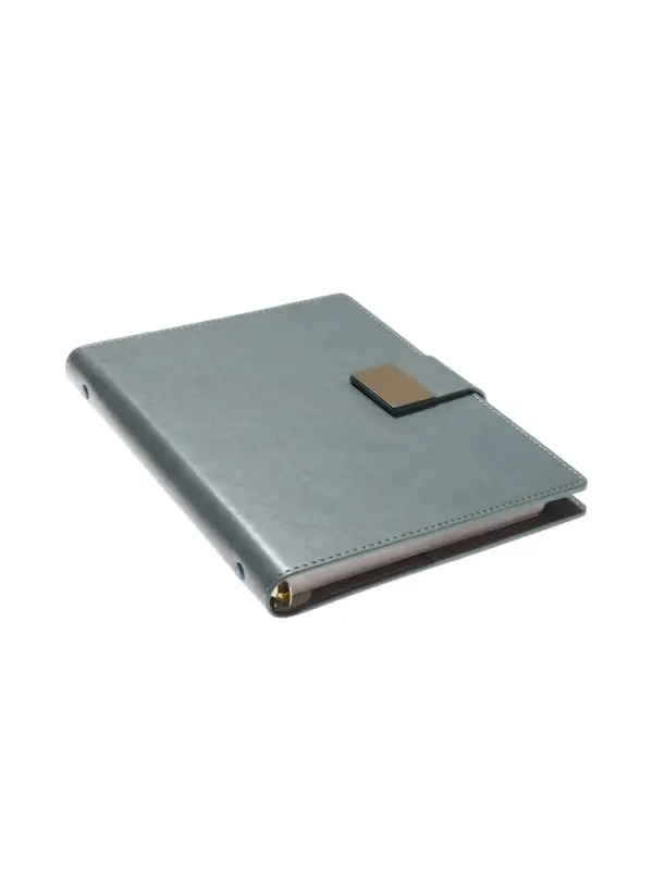 Органайзер на кольцах, А5, с хлястиком, 80л, линия, к/зам, Зеленый Органайзер на кольцах, А5, с хлястиком, 80л, линия, к/зам, Зеленый