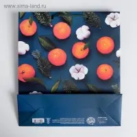 Пакет подарочный новогодний ламинированный «Счастья в Новом году», ML 23 x 27 х 8 см