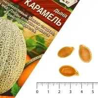 Семена Дыня &laquo;Карамель&raquo;, 1 г, &laquo;Аэлита&raquo;