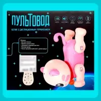 Робот кот &laquo;Пультовод&raquo; ZHORYA, на пульте управления, интерактивный: сенсорный, звук, свет, на батарейках, на русском языке, розовый