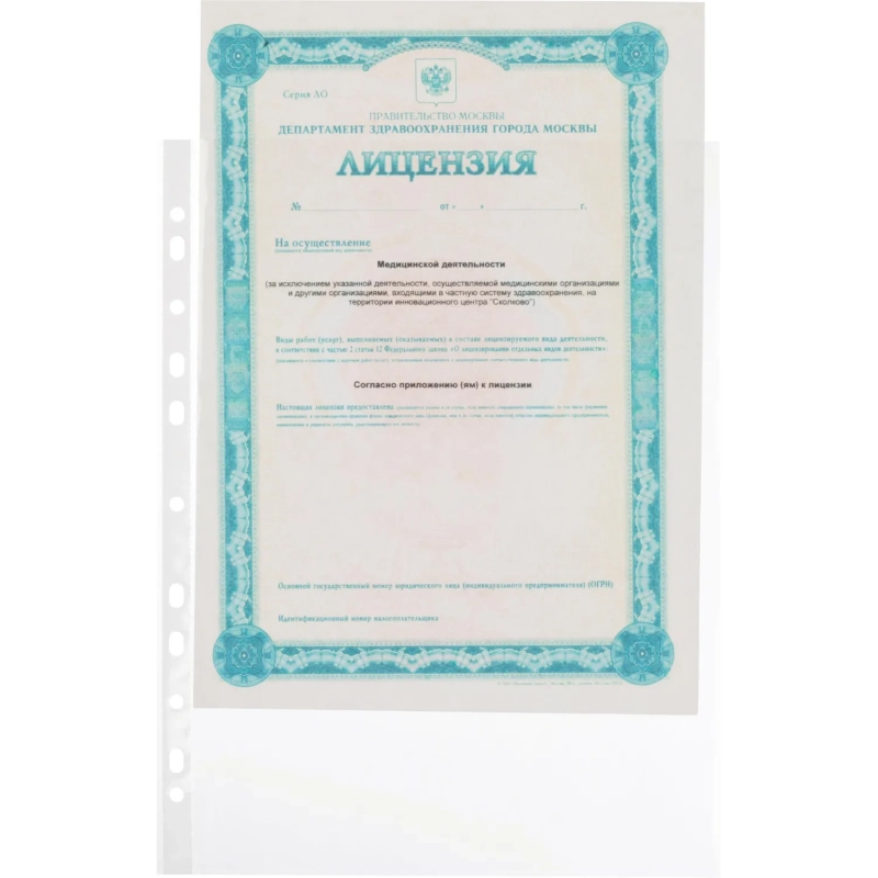 Файл-вкладыш А4 25 мкм, Выбор есть, гладкие, с перф, 100шт./уп