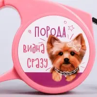 Рулетка «Порода видна сразу» 3 м Рулетка «Порода видна сразу» 3 м