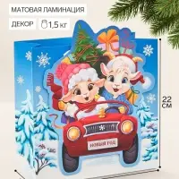 Пакет подарочный &laquo;С Новым годом&raquo;, символ года, 22&times;22&times;10 см