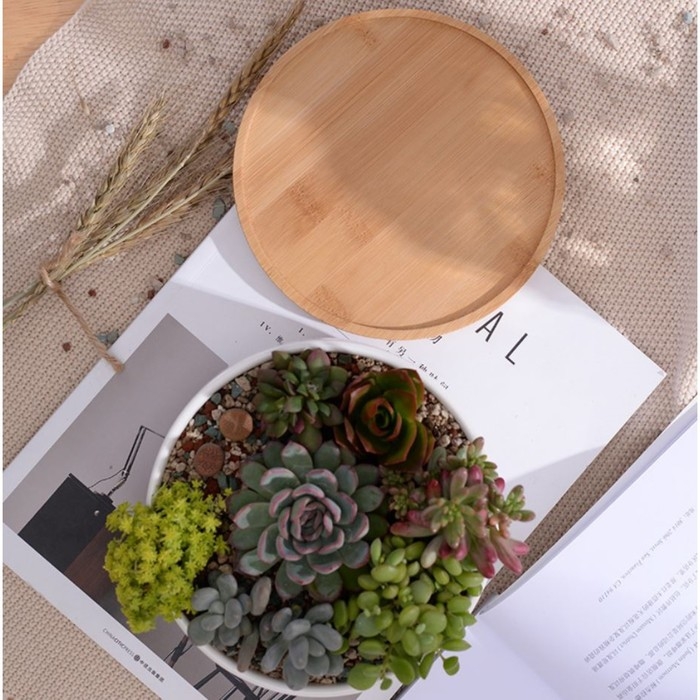 Горшок Горшок "Эко Бонсай" круг, 17х7см, белый