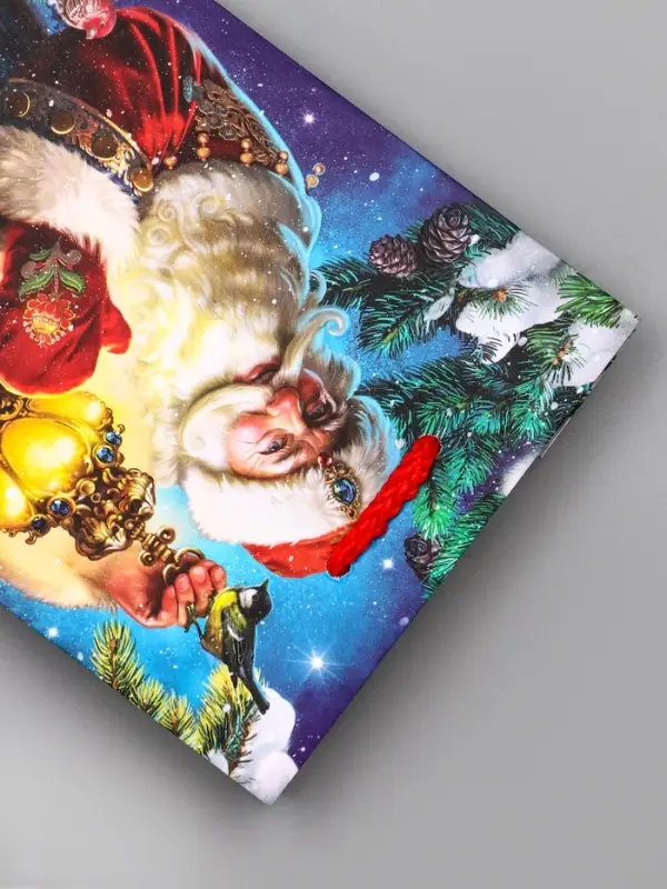 Пакет подарочный новогодний ламинированный, «Синички» , 11.5×6.5×14.5 см Пакет подарочный новогодний ламинированный, «Синички» , 11.5×6.5×14.5 см