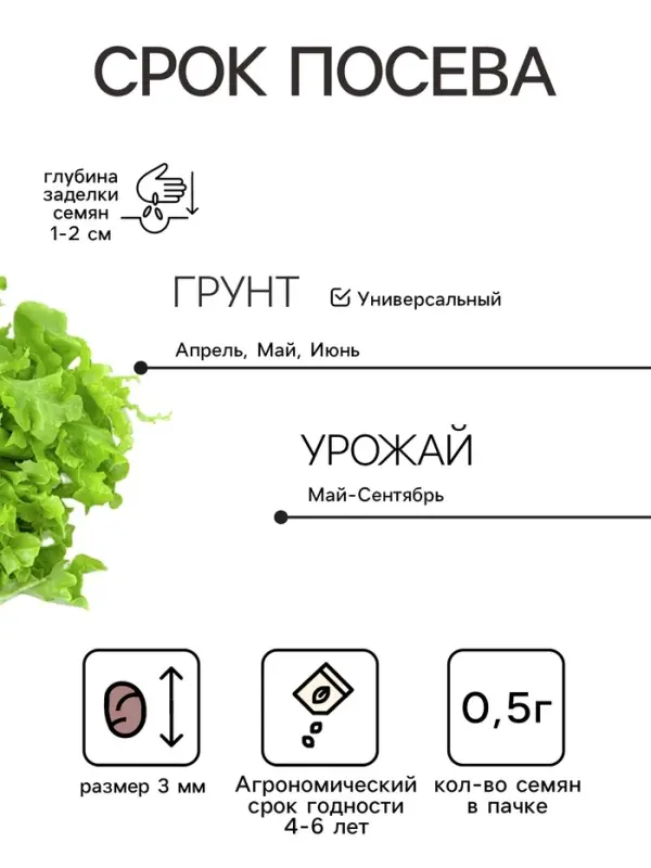 Семена Салат листовой &laquo;Букет&raquo;, 0.5 г, &laquo;Аэлита. Лидер&raquo;