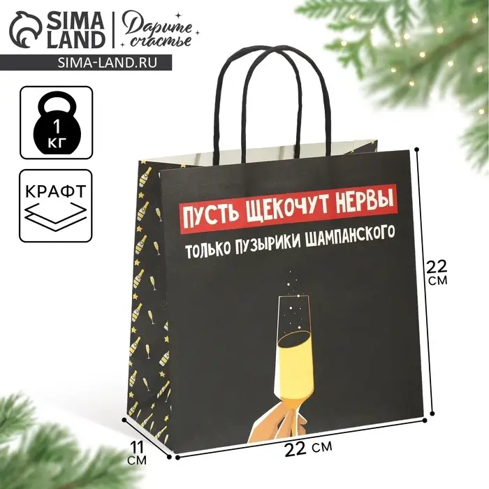 Пакет подарочный новогодний &laquo;Только пузырики&raquo;, 22&times;22&times;11 см