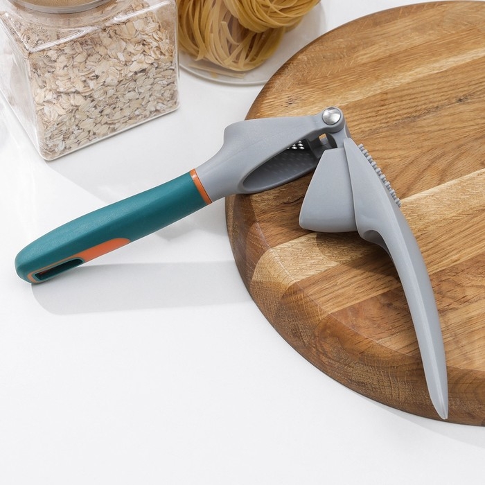 Пресс для чеснока Magistro Coral, 20,2×4,2×6,5 см, цвет зелёный, серый Пресс для чеснока Magistro Coral, 20,2×4,2×6,5 см, цвет зелёный, серый