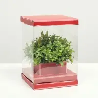 Коробка для цветов с вазой и PVC окнами складная, красный, 16&times;23&times;16 см