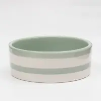 Миска &laquo;След&raquo;, 300 мл, 2.5&times;12.5&times;4.5 см, керамика, зелёная, белая