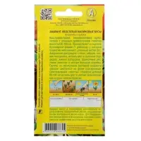 Набор семян Амарант "Малиновые бусы", О, 5 шт. Набор семян Амарант "Малиновые бусы", О, 5 шт.